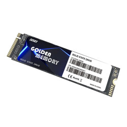 XASER 256GB M.2 NVMe 2200/1800 MB/s Golden Memory SSD - 1