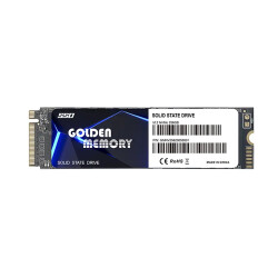 XASER 256GB M.2 NVMe 2200/1800 MB/s Golden Memory SSD - 2